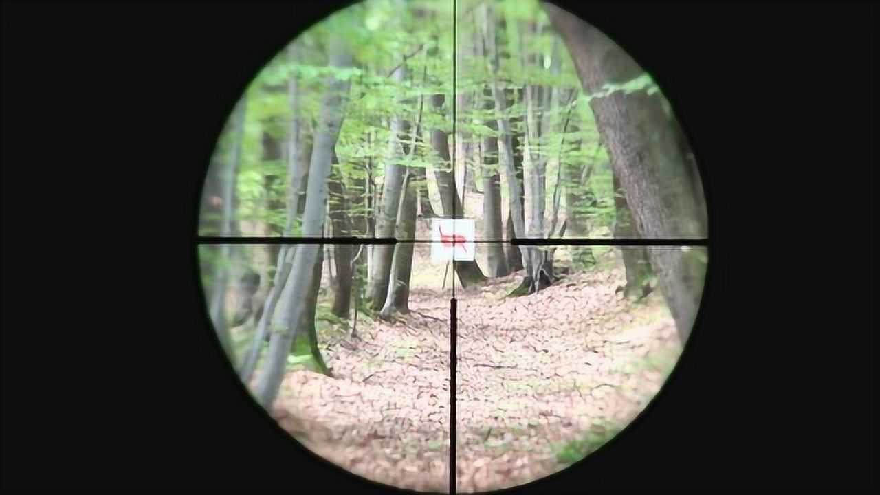 德国制造:蔡司3-12x50高倍狙击瞄准镜,12倍镜下看目标果然清晰