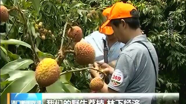 海口:助力乡村振兴 电商研习进乡镇