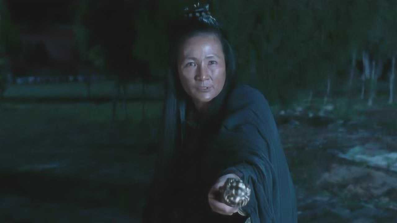 卧虎藏龙,李慕白大战碧眼狐狸,这个女人仇家太多了