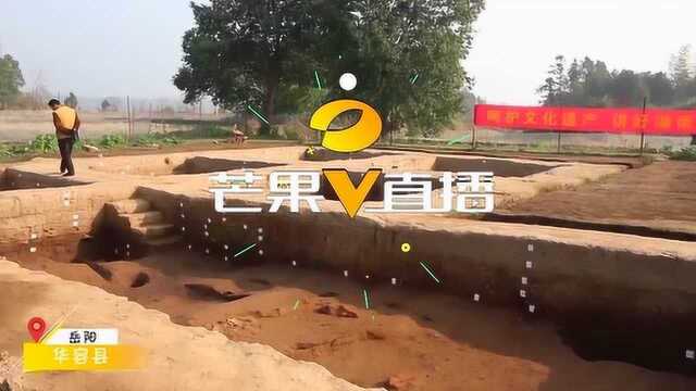 湖南规模最大的新石器时代城址被发现 为公元前3000年遗址