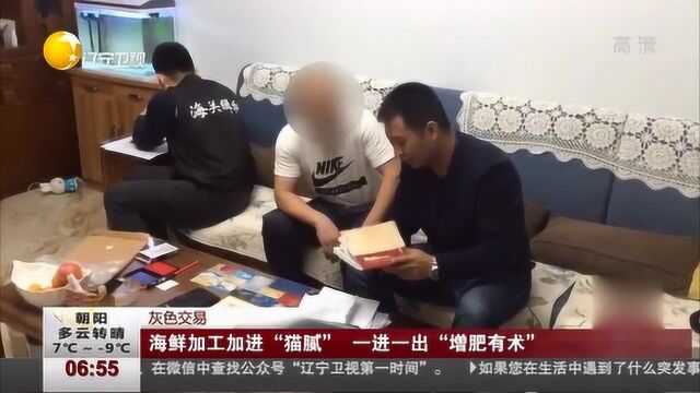 大连:海鲜加工有“猫腻”,10名犯罪嫌疑人被抓获