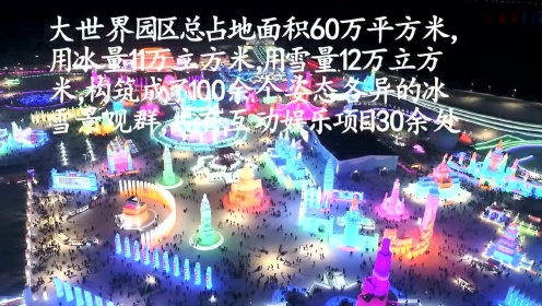 2019春节-哈尔滨之夜