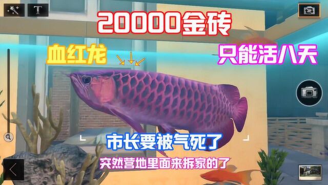 明日之后339:听说红金龙只能活八天!20000金砖这样没了!难受!