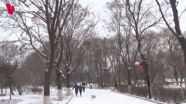 专家辟谣:人工增雪不会影响环境和人体健康