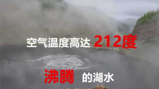 4个危险的水域,鲨鱼、暗涌、湖水沸腾,看完胆怯了