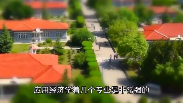 有实力但录取分数很低的985大学,究竟是哪几间呢?