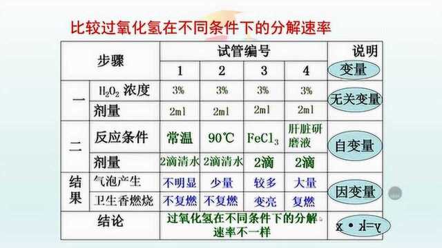 生物赵老师—酶的作用和本质