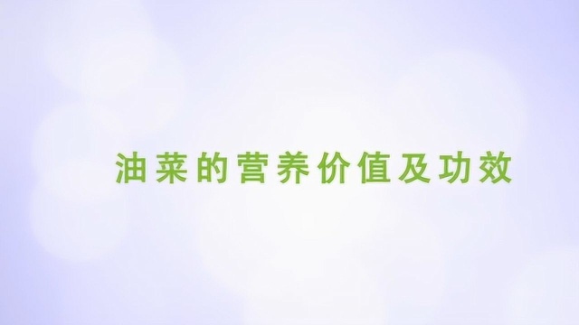 油菜的营养价值及功效有哪些?