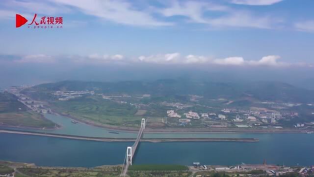 湖北宜昌:高山茶园与三峡大坝相映成景