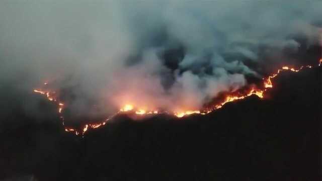 云南昆明龙池山发生山火 森林消防150人连夜紧急扑救