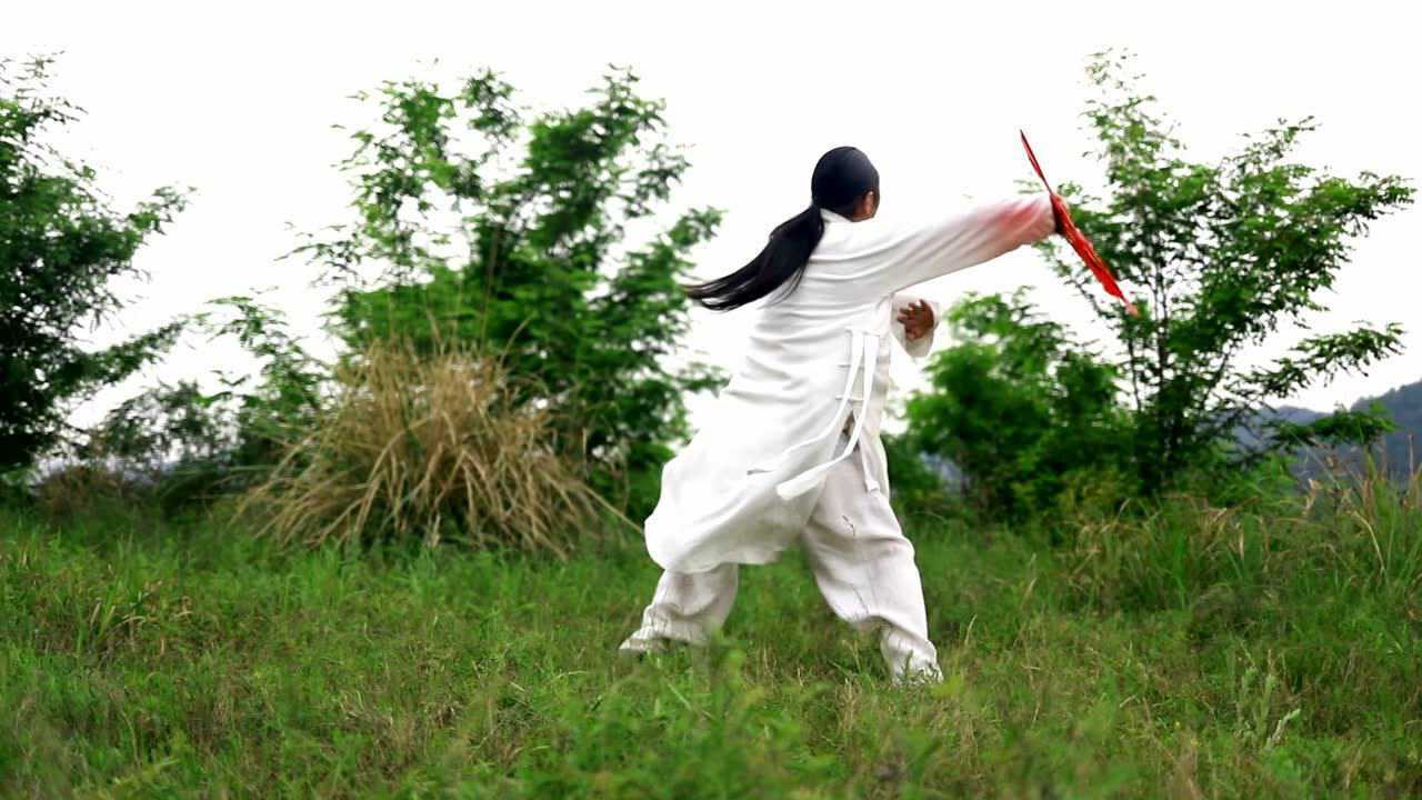 武当逍遥扇 逍遥自在 修身养性 强身健体