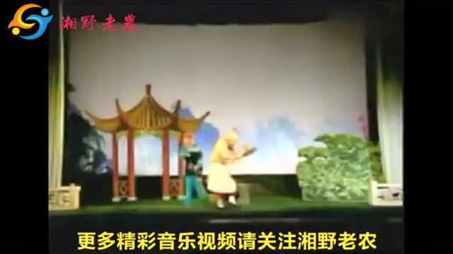 衡阳传统经典花鼓戏《张二嫂回娘家》,大夫出诊,一路搞笑不断