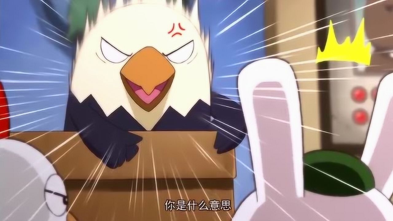 那年那兔那些事儿兔子回归大流氓俱乐部