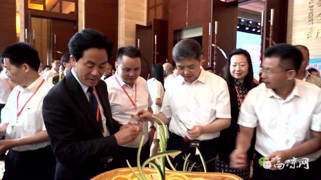 高州荔枝节 市委书记、市长亲自挂帅推广高州荔枝