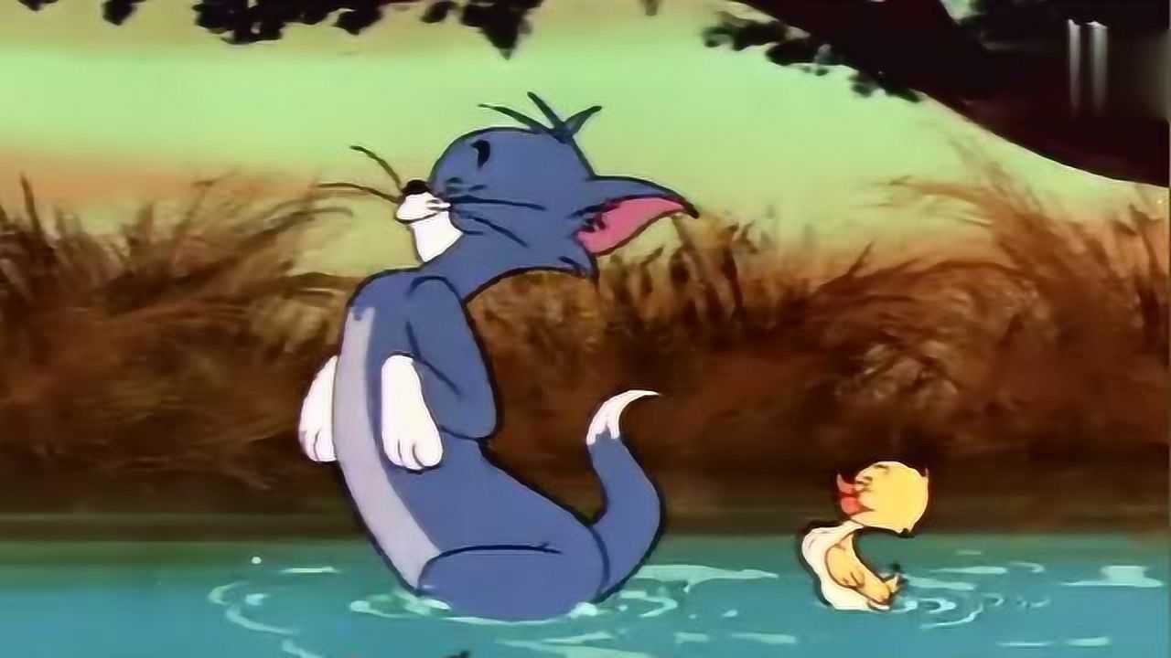 小鸭子认汤姆猫当妈为教小鸭子汤姆直接学鸭子叫