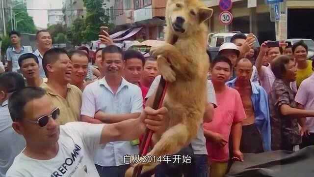 数万名游客齐聚广西玉林,过“狗肉节”,引发争议