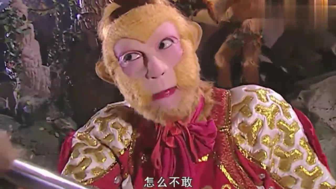 西游记续集两个美猴王沙悟净傻傻分不清只能找观音菩辨真假