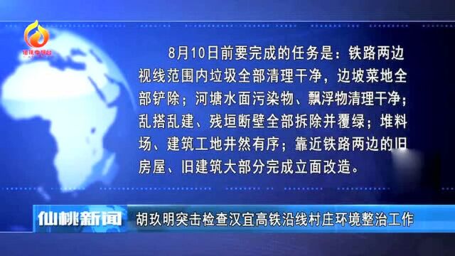 仙桃:胡玖明突击检查汉宜高铁沿线村环境整治工作