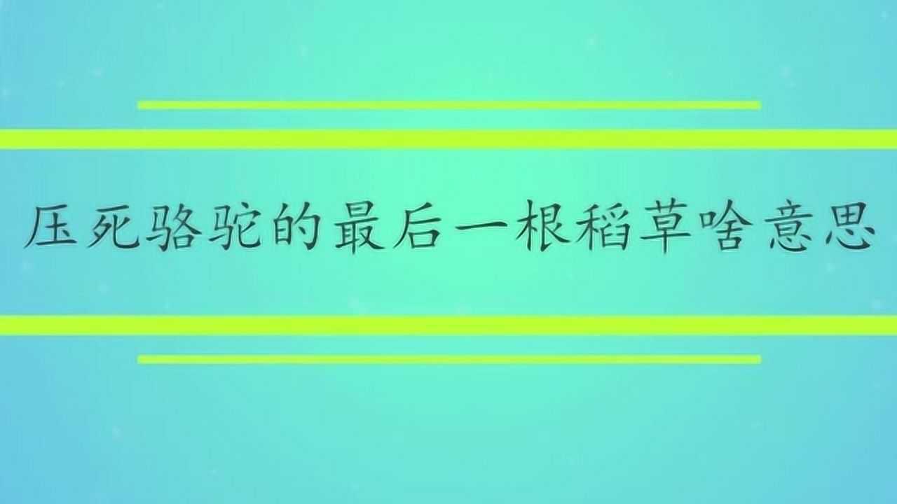 压死骆驼的最后一根稻草啥意思