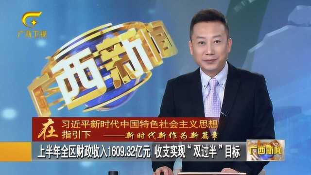 上半年全区财政收入收支实现“双过半”目标