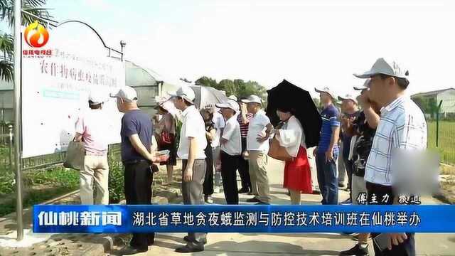 湖北省:草地贪夜蛾监测与防控技术培训班在仙桃举办