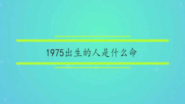 1975出生的人是什么命