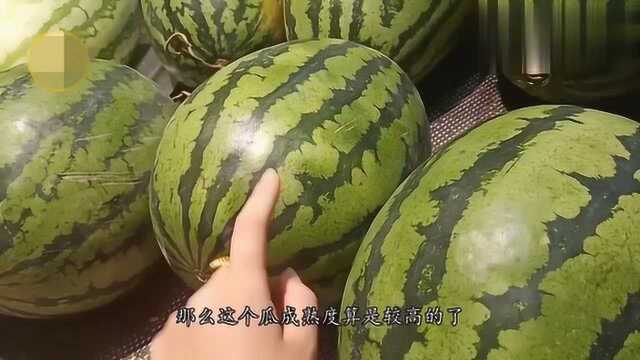 西瓜怎么样算成熟了?