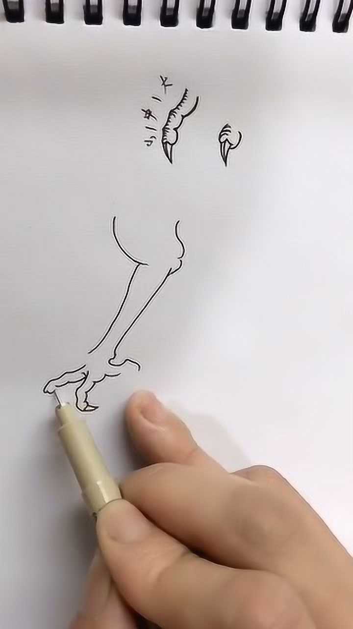 简笔画:简单画只龙爪._腾讯视频