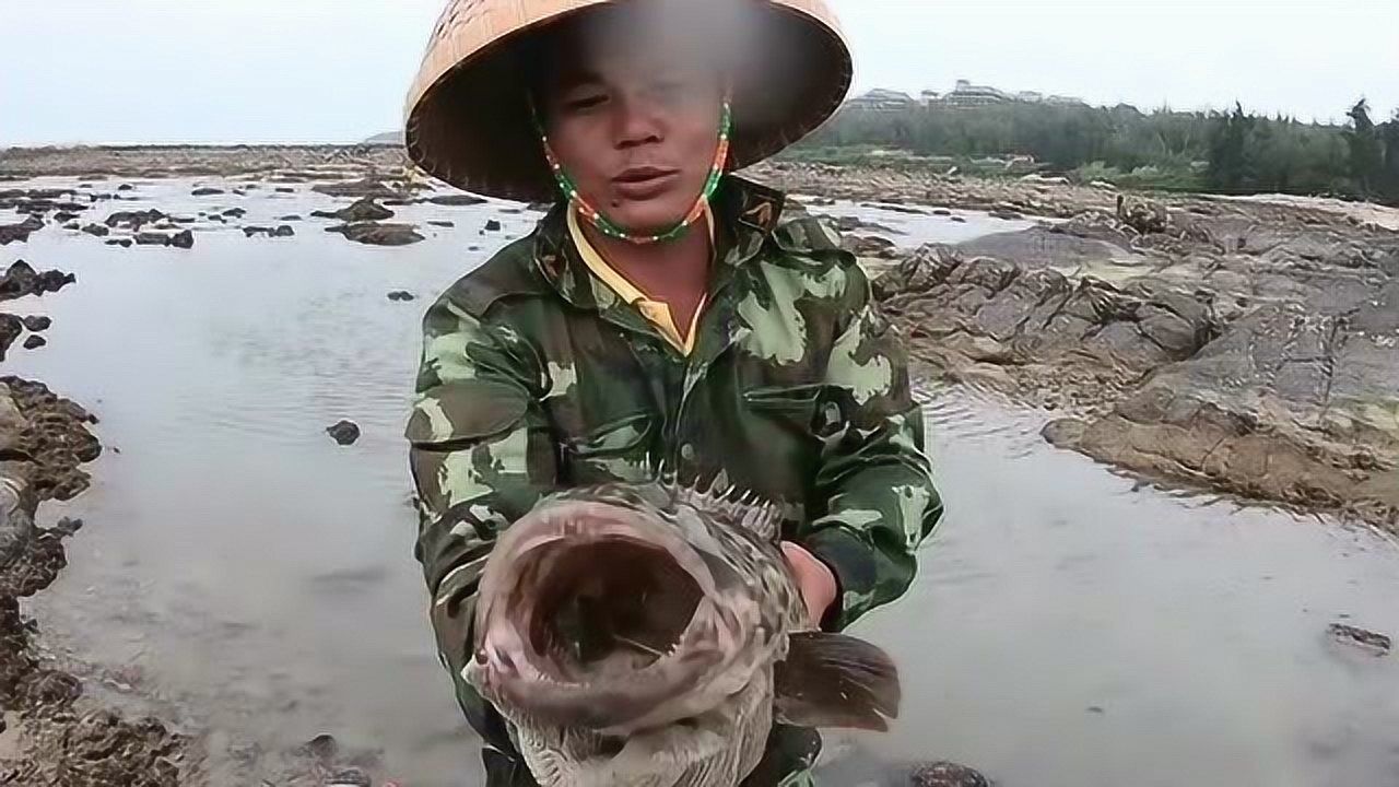 赶海运气爆棚,抓到一条生猛大鱼,赶紧拿去卖掉