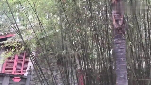 南阳卧龙岗武侯祠:刘备三顾茅庐的发生地,容你无限遐想!