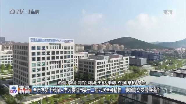 青岛新闻:学习贯彻市委十二届六次全会精神 奏响青岛发展最强音