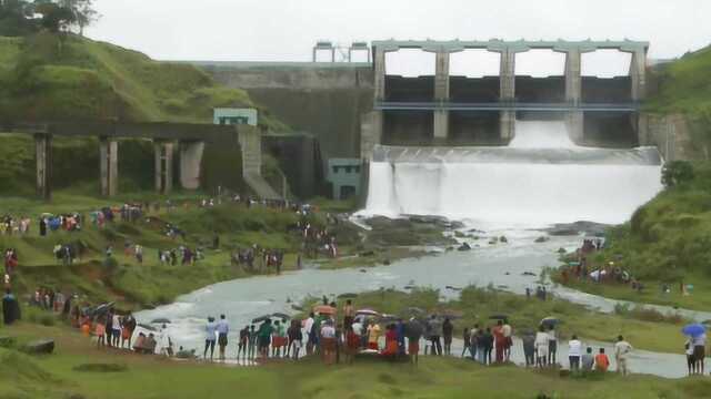 水库开闸放水,产生流鱼奇观,渔民:大鱼实在太多了