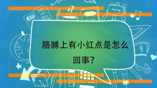 胳膊上有小红点是怎么回事?