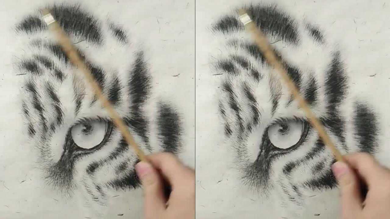 绘画老虎眼睛的画法解析,真形象,学习了