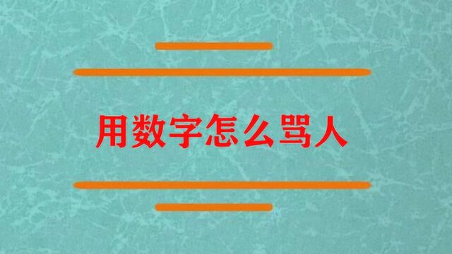 怎样轻松学会用数字骂人?