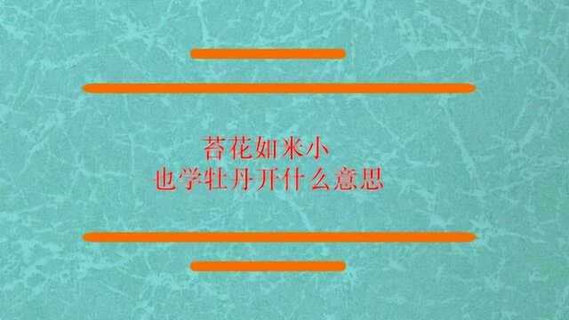 苔花如米小也学牡丹开什么意思?