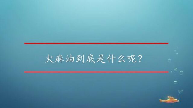 火麻油到底是什么呢?