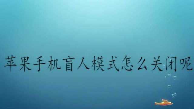 苹果手机盲人模式怎么关闭呢