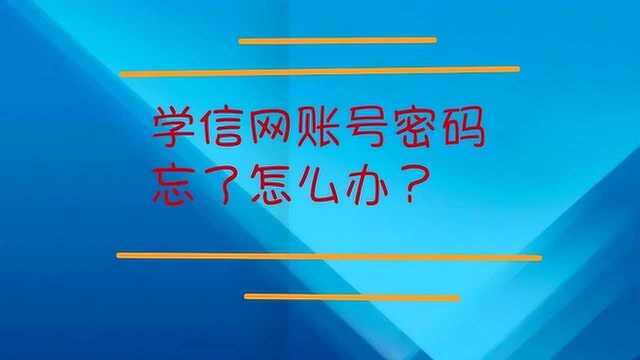 学信网账号密码忘了怎么办?