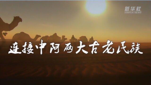 第一报道 这个博览会,习主席为何四致贺电