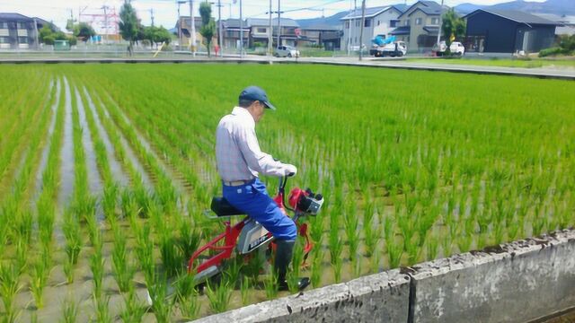 日本发明“骑马式”水稻开沟机,一天开沟8亩地,500元造一台