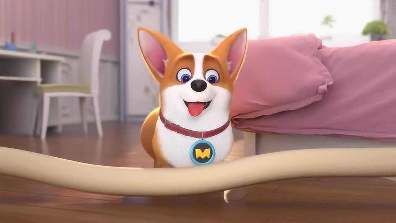 飞狗moco:生病就要多喝水.