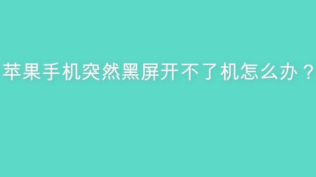 苹果手机突然黑屏开不了机怎么办?