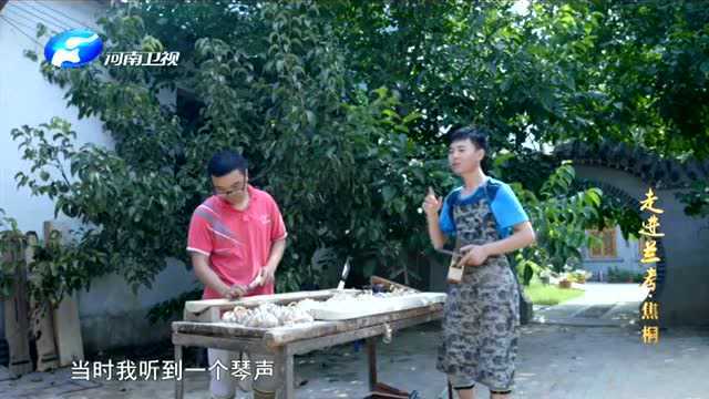 走进兰考:泡桐是制作乐器的好材料,值得我们去保护