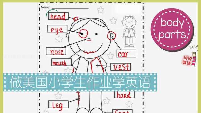 做美国小学生作业学英语,穿马甲的小女孩,学习身体部位单词