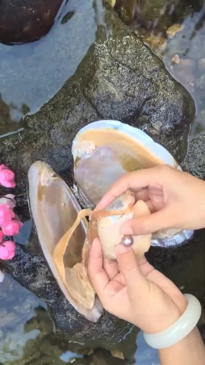 小妹开珍珠蚌运气爆棚,开出这种极品珍珠,这下可以赚一笔大的!