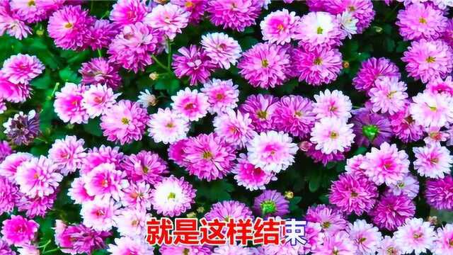 一首好听的情歌《最后一声爱你》