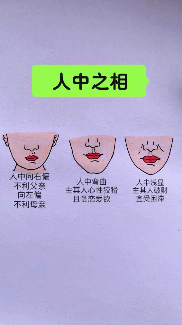 人中形状如水滴最好