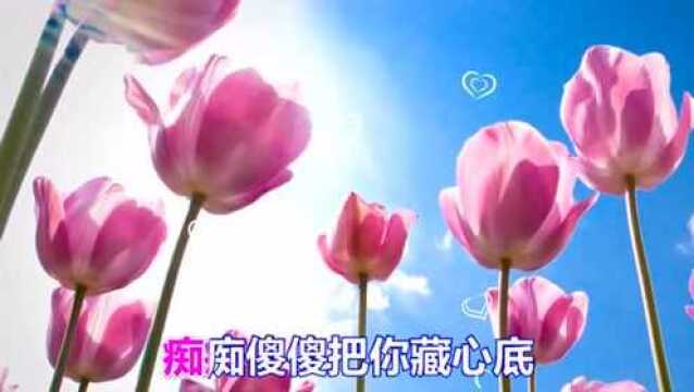 一首好听的情歌《受伤的心》