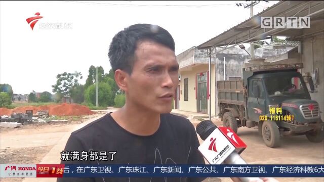 湛江雷州:苍蝇跳蚤扰民,库区养鸭养羊所致?